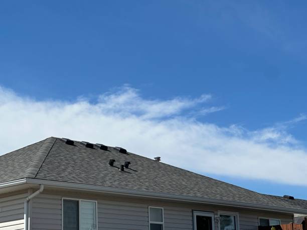 Skylights in Monterey, TN